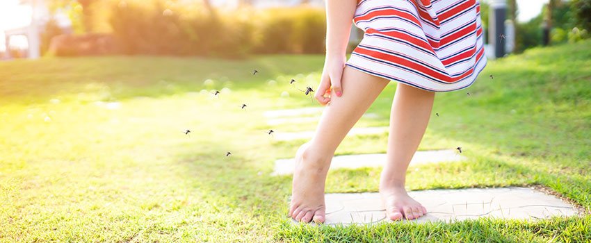 What Are Some Ways to Relieve Itchy Mosquito Bites for Children?